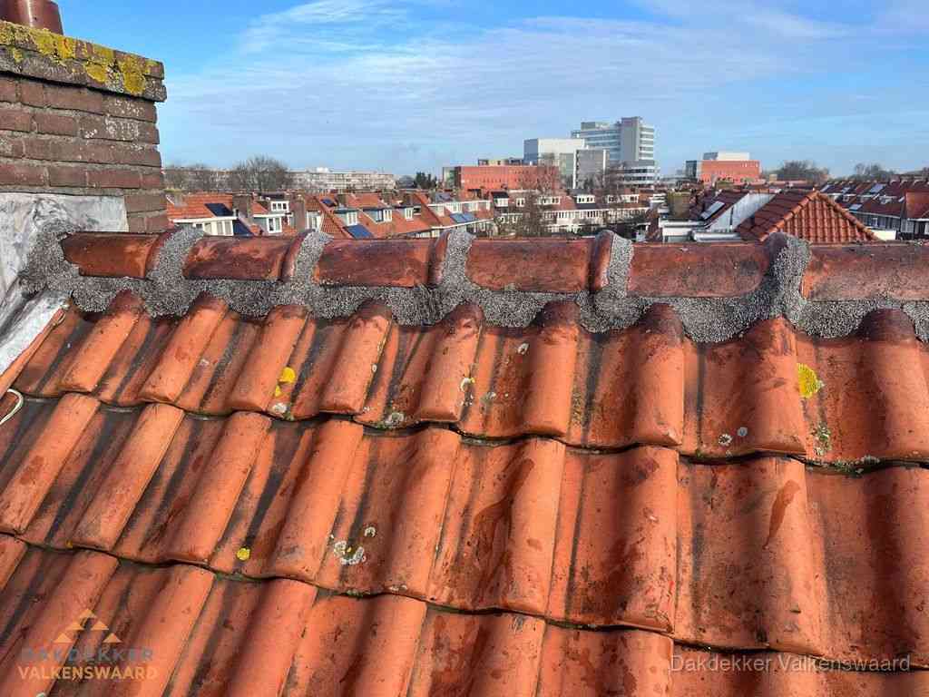 Pannendak met nokvorst en schoorsteen, dakrenovatie in Valkenswaard