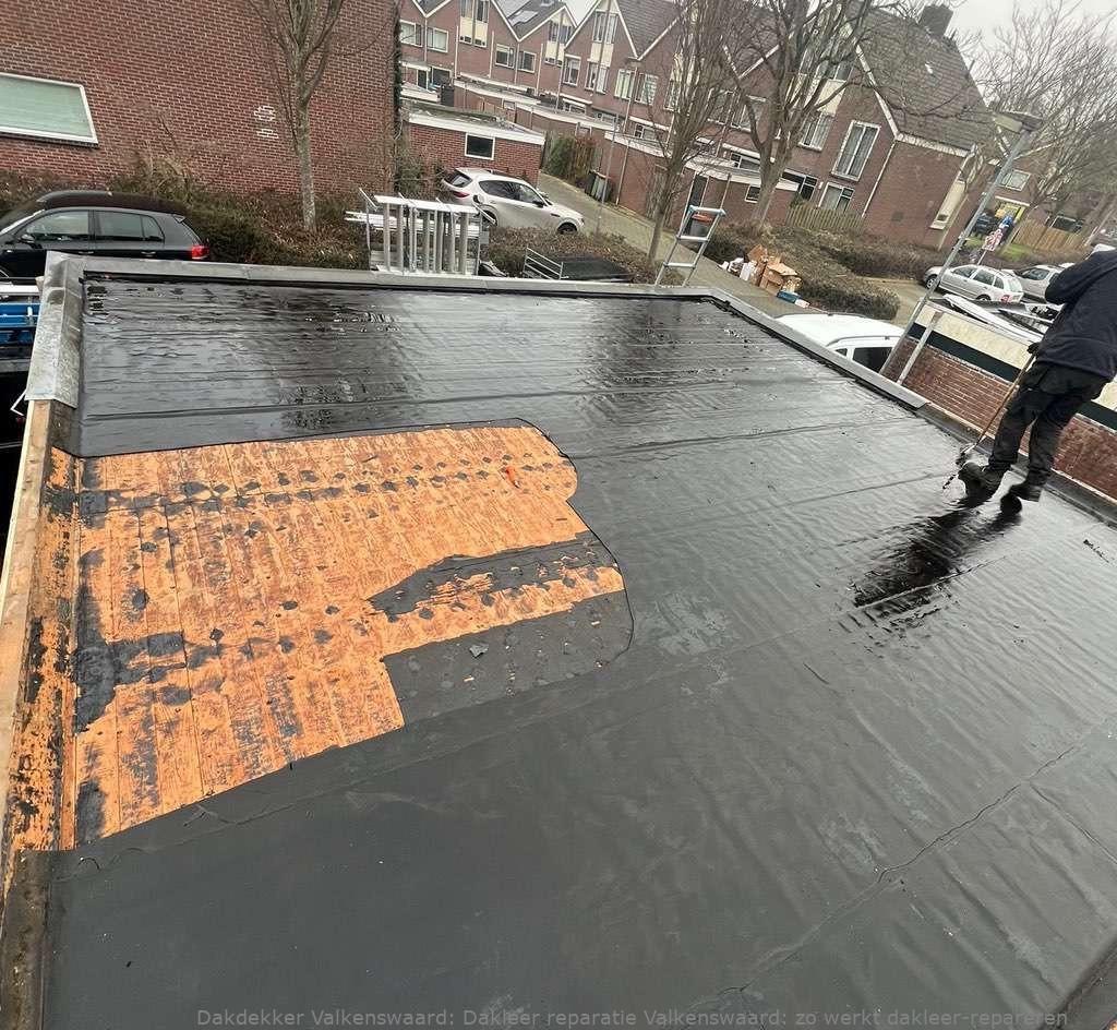 Dakleer Reparatie Valkenswaard