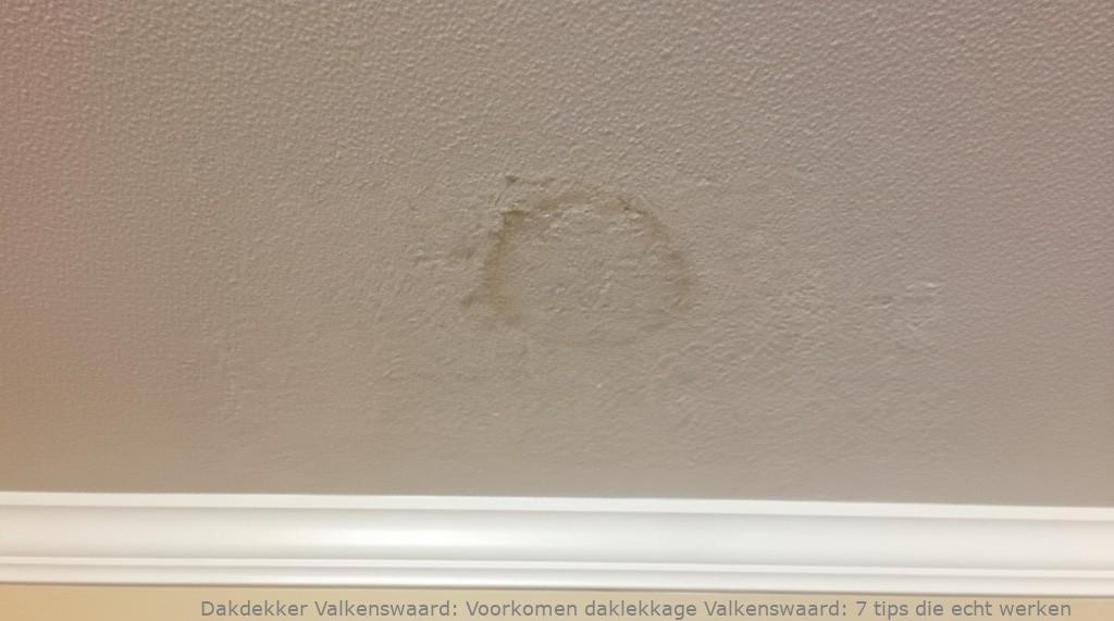 Voorkomen Daklekkage Valkenswaard